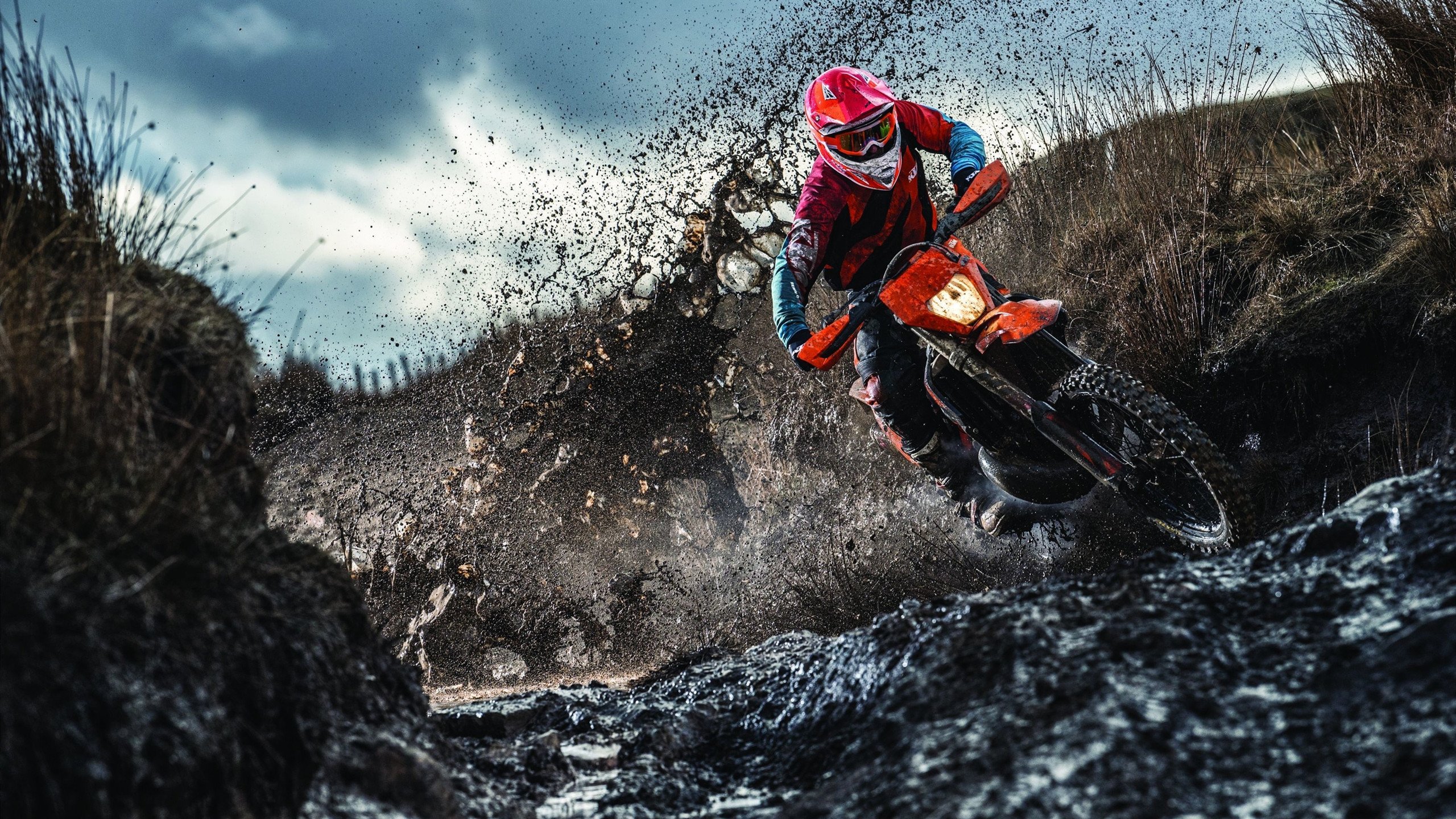 体育精神激励无数年轻人